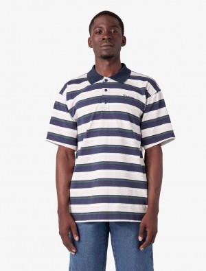 μπλουζακια πολο ανδρικα Dickies Guy Mariano μπλε | 723449539