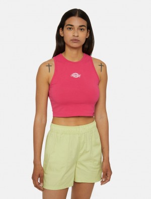 Μπλουζακια Αμανικα γυναικεια Dickies Powers ροζ | 112610530
