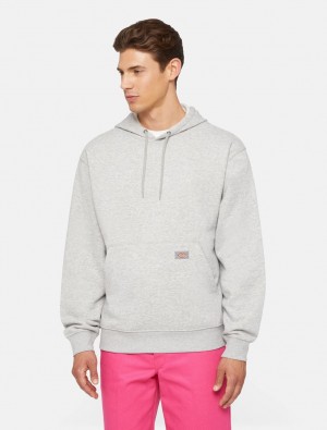 Φουτερ με Κουκουλα ανδρικα Dickies Everyday Fleece γκρι | 842582203