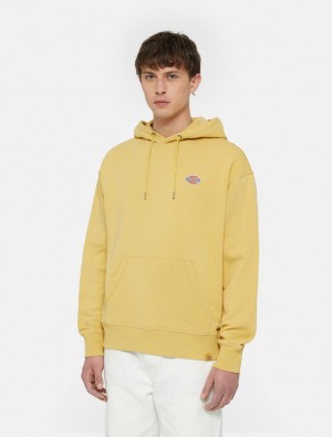 Φουτερ με Κουκουλα ανδρικα Dickies Millersburg κίτρινα | 491800902
