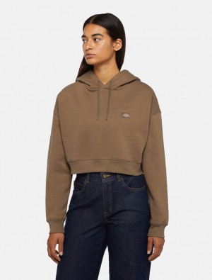 Φουτερ με Κουκουλα γυναικεια Dickies Oakport Cropped καφε | 313521257