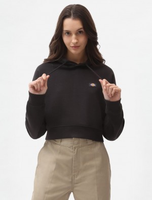 Φουτερ με Κουκουλα γυναικεια Dickies Oakport Cropped μαυρα | 403003684