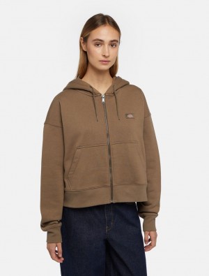 Φουτερ με Κουκουλα γυναικεια Dickies Oakport Zip καφε | 914180641
