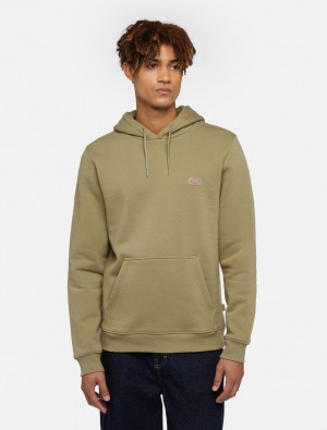 Φουτερ με Κουκουλα ανδρικα Dickies Oakport Ελιά | 110326323