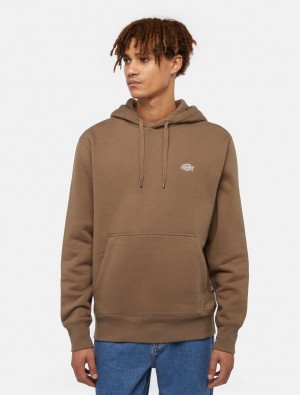 Φουτερ με Κουκουλα ανδρικα Dickies Summerdale καφε | 29911781